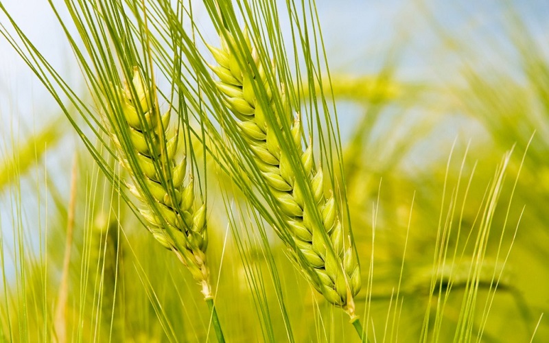Một bản t&igrave;nh ca tuyệt vời d&acirc;ng l&ecirc;n Thi&ecirc;n Ch&uacute;a trong Tin mừng Gioan